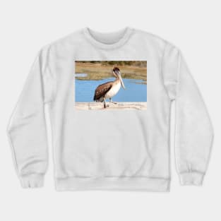 Brown & White Pelican Crewneck Sweatshirt